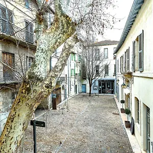 Studios Entre Le Pont D' Et Le Palais Des Papes Appartamento